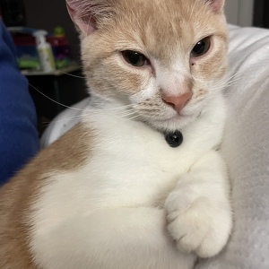 Fundraising Page: Beetlejuice PAC Alum